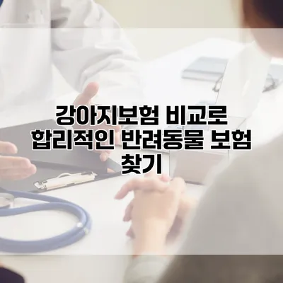 강아지보험 비교로 합리적인 반려동물 보험 찾기