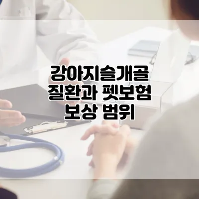 강아지슬개골 질환과 펫보험 보상 범위