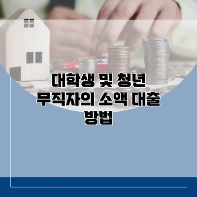 대학생 및 청년 무직자의 소액 대출 방법