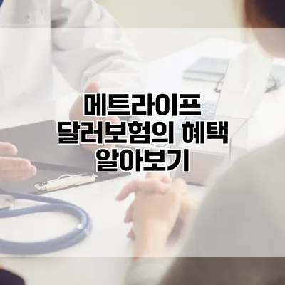 메트라이프 달러보험의 혜택 알아보기