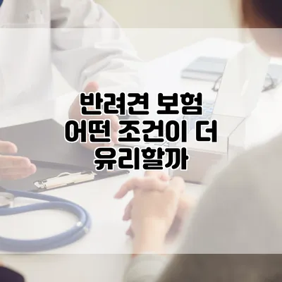 반려견 보험 어떤 조건이 더 유리할까?