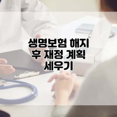 생명보험 해지 후 재정 계획 세우기