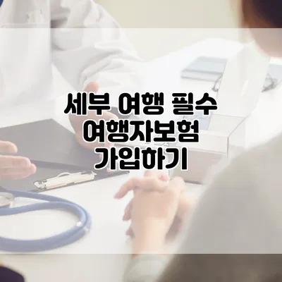 세부 여행 필수 여행자보험 가입하기