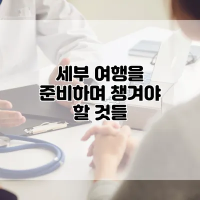 세부 여행을 준비하며 챙겨야 할 것들