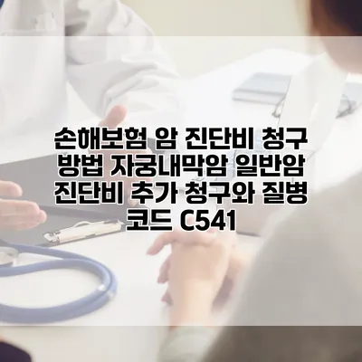 손해보험 암 진단비 청구 방법 자궁내막암 일반암 진단비 추가 청구와 질병 코드 C541