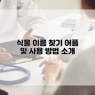 식물 이름 찾기 어플 및 사용 방법 소개