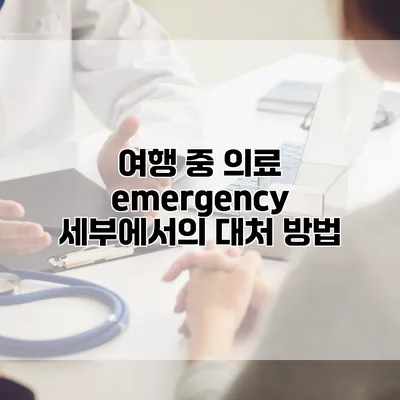 여행 중 의료 emergency 세부에서의 대처 방법