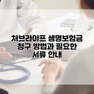처브라이프 생명보험금 청구 방법과 필요한 서류 안내