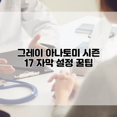 그레이 아나토미 시즌 17 자막 설정 꿀팁