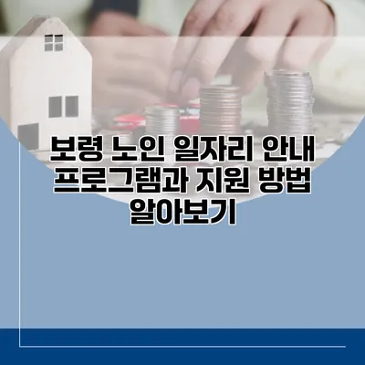 보령 노인 일자리 안내 프로그램과 지원 방법 알아보기