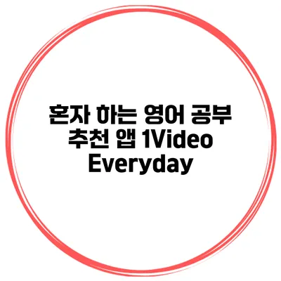 혼자 하는 영어 공부 추천 앱 1Video Everyday